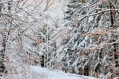 Hermosos paisajes de inviernos | Fotos, Banco de fotos, Galería de ...