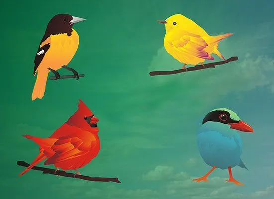 Hermosos pájaros vectorizados - PuertoPixel.com