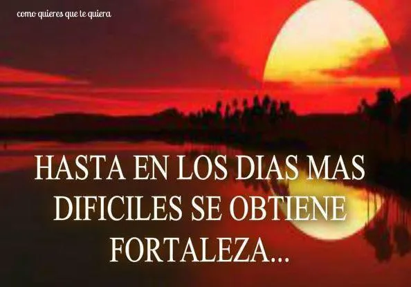 POEMAS,REFLEXIONES Y PENSAMIENTOS CRISTIANOS.: TRIBUTO A LA VIDA ... POEMAS,REFLEXIONES Y PENSAMIENTOS CRISTIANOS.: TRIBUTO A LA VIDA ...