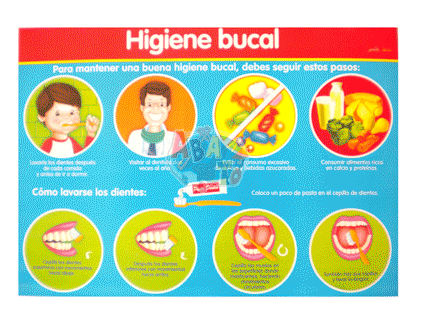 Higiene bucal; Higiene Dental
