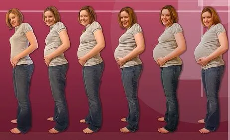 embarazo fases y sintomas del embarazo embarazos mes a mes - www ...
