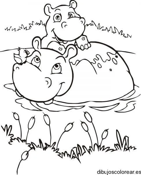 Dibujos de hipopótamos bebé - Imagui