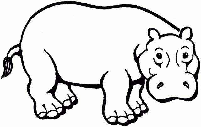 Hippopotamus - Free Printable Coloring Pages | Spencer's 1st ...
