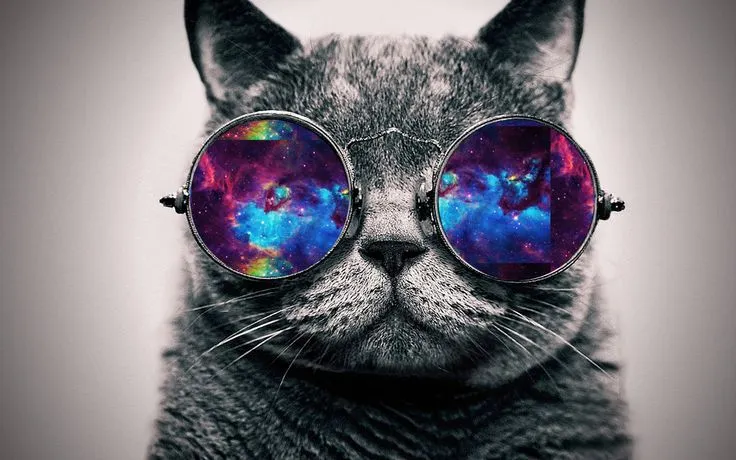 Hipster Galaxy Background | wallpaper galaxy cat by ...