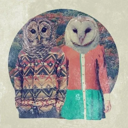 hipster #tshirt #buho #owl | | Búhos | | Pinterest | Hipster and Owl