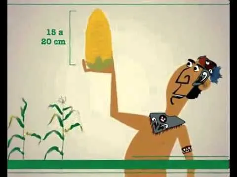 Historia del maiz - YouTube