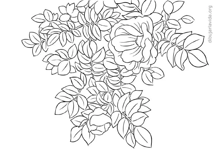 Dibujos de flores y ramas - Imagui