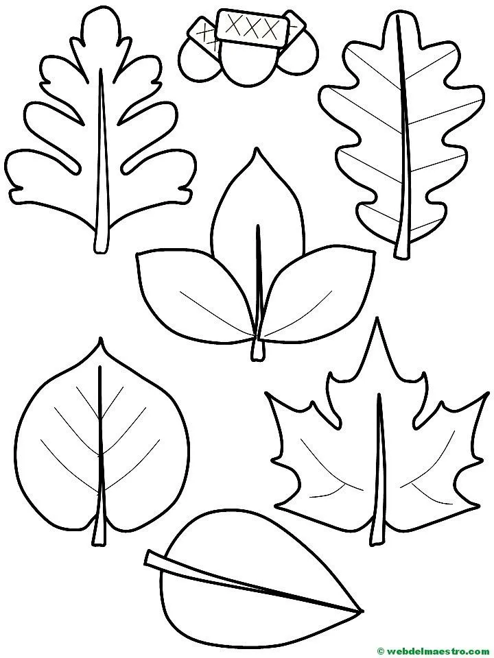 hojas de otoño y bellotas - Web del maestro hojas de otoño y bellotas - Web del maestro