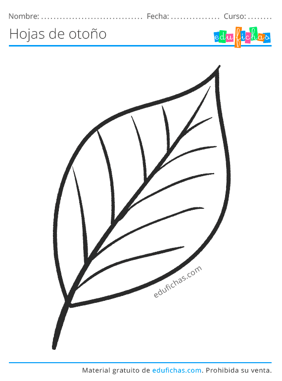 Hojas de Otoño para Colorear. Descargar Dibujos para Pintar (PDF) Hojas de Otoño para Colorear. Descargar Dibujos para Pintar (PDF)