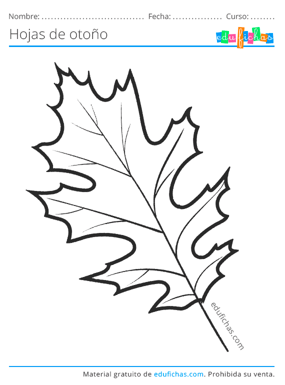 Hojas de Otoño para Colorear. Descargar Dibujos para Pintar (PDF) Hojas de Otoño para Colorear. Descargar Dibujos para Pintar (PDF)