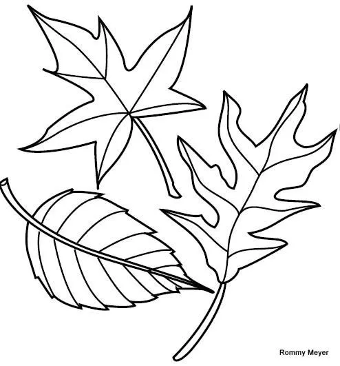 Imágenes y formas para colorear y elaborar materiales » hojas Imágenes y formas para colorear y elaborar materiales » hojas