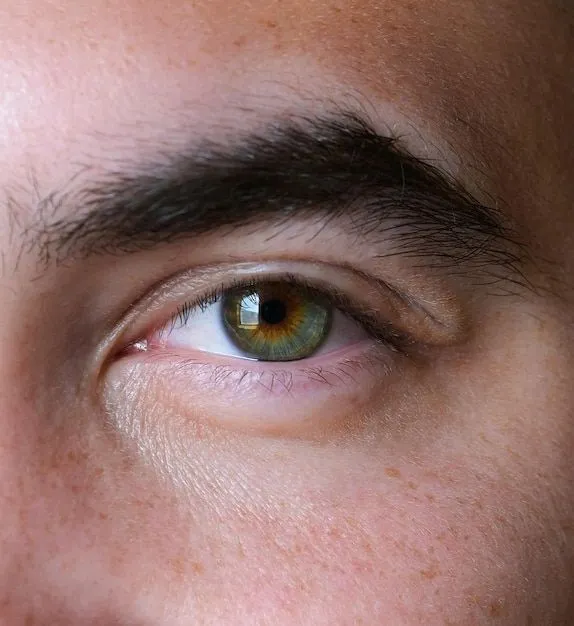 Hombre guapo macro ojos verdes detalle tiro ceja pupila pecas | Foto Premium