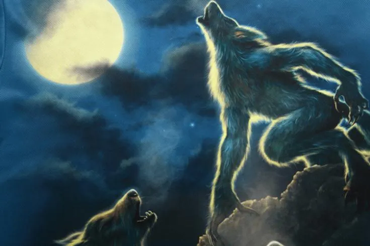 Imagenes de lobo en 3D - Imagui