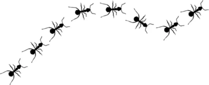 hormigas « Cumbres Borrascosas