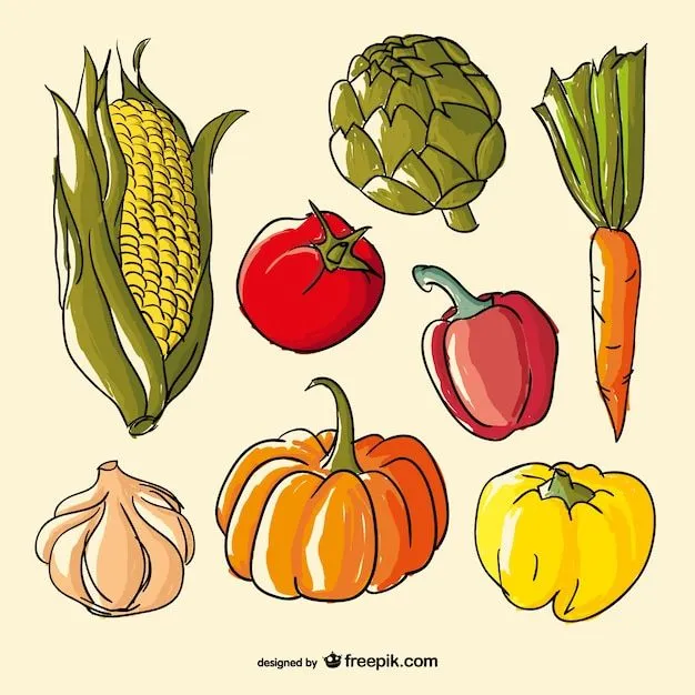 Verduras Vector | Fotos y Vectores gratis