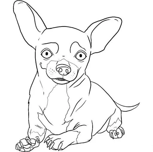 how-to-draw-a-chihuahua-step-6 ...
