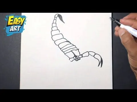 how to draw a scorpion - como dibujar un escorpion - YouTube