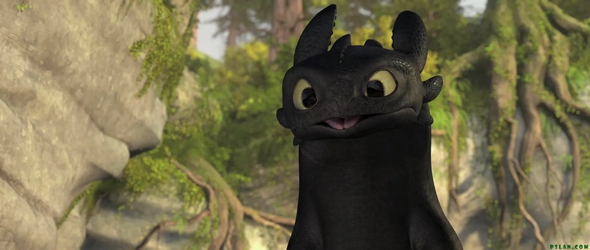 How to train your dragon | DerpinNeo
