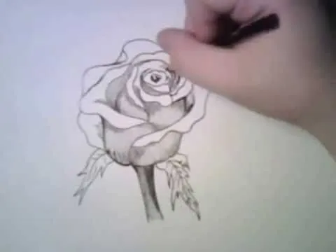 Rosas dibujadas a lapiz - Imagui