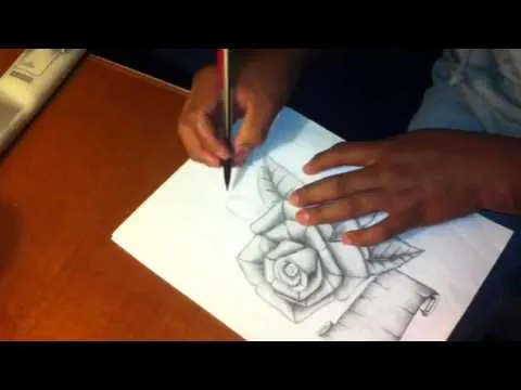 dibujo de rosa con pergamino a lapiz - YouTube