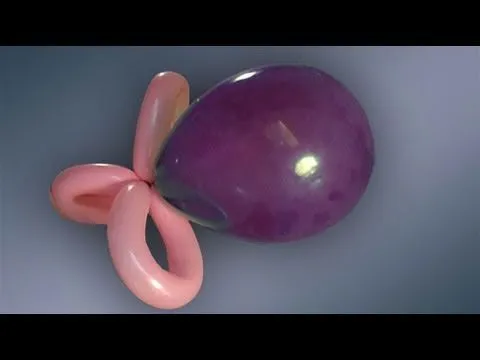 Aprende a hacer globos decorativos un chupete - YouTube