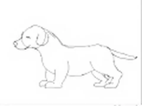 Cómo dibujar un perro cachorro raza labrador - YouTube