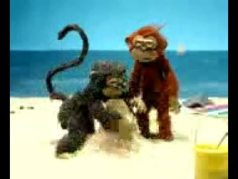 monos chistosos - YouTube
