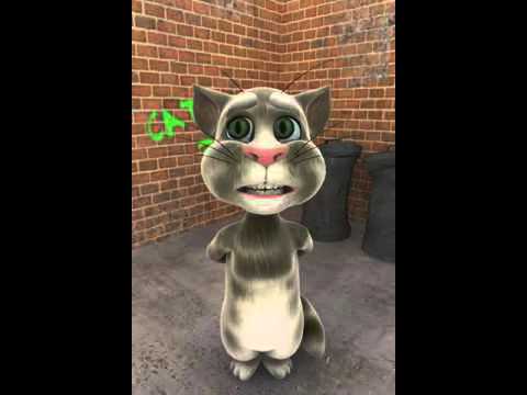 Poemas del gato chistoso - YouTube