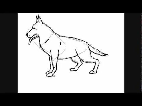 Dibujos de perros :perro Pastor Alemán - Dibujos para Pintar - YouTube