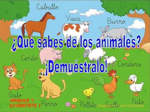 LOS ANIMALES - APRENDE Y DIVIÉRTETE CON JOSEFINA - YouTube