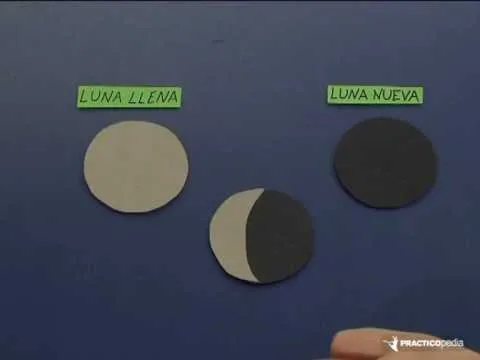 Cómo distinguir las fases de la luna - YouTube