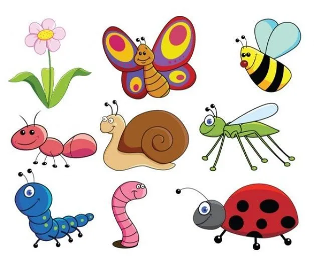 https://www.google.hu/blank.html | Imagenes de insectos, Animales  invertebrados, Insectos animados
