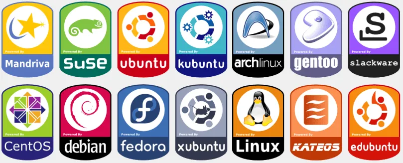 Huehue1.com: Curso en Pdf para Principiantes y verdaderos Novatos ... Huehue1.com: Curso en Pdf para Principiantes y verdaderos Novatos ...