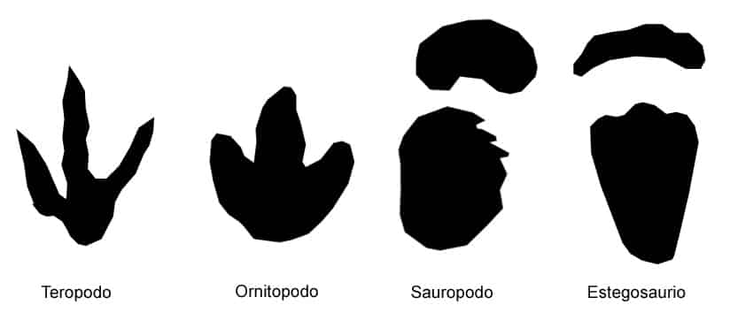 Los diferentes tipos de huellas de dinosaurios | Dinosaurios