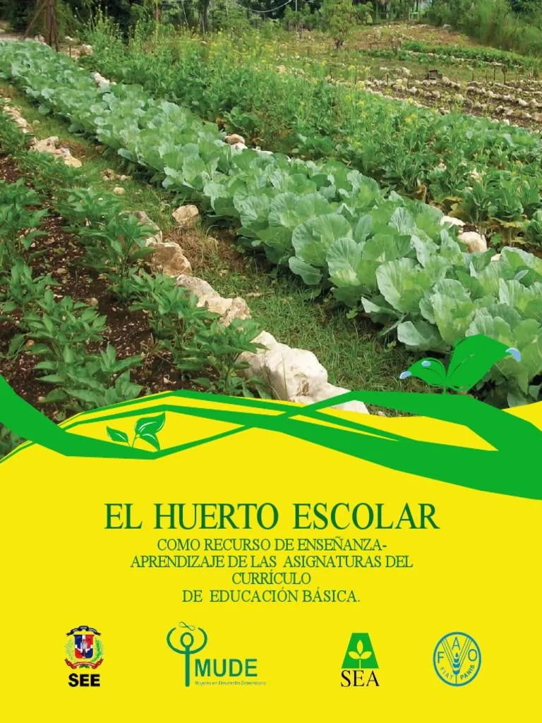 Huerto Escolar | PDF | Vegetales | Huerta