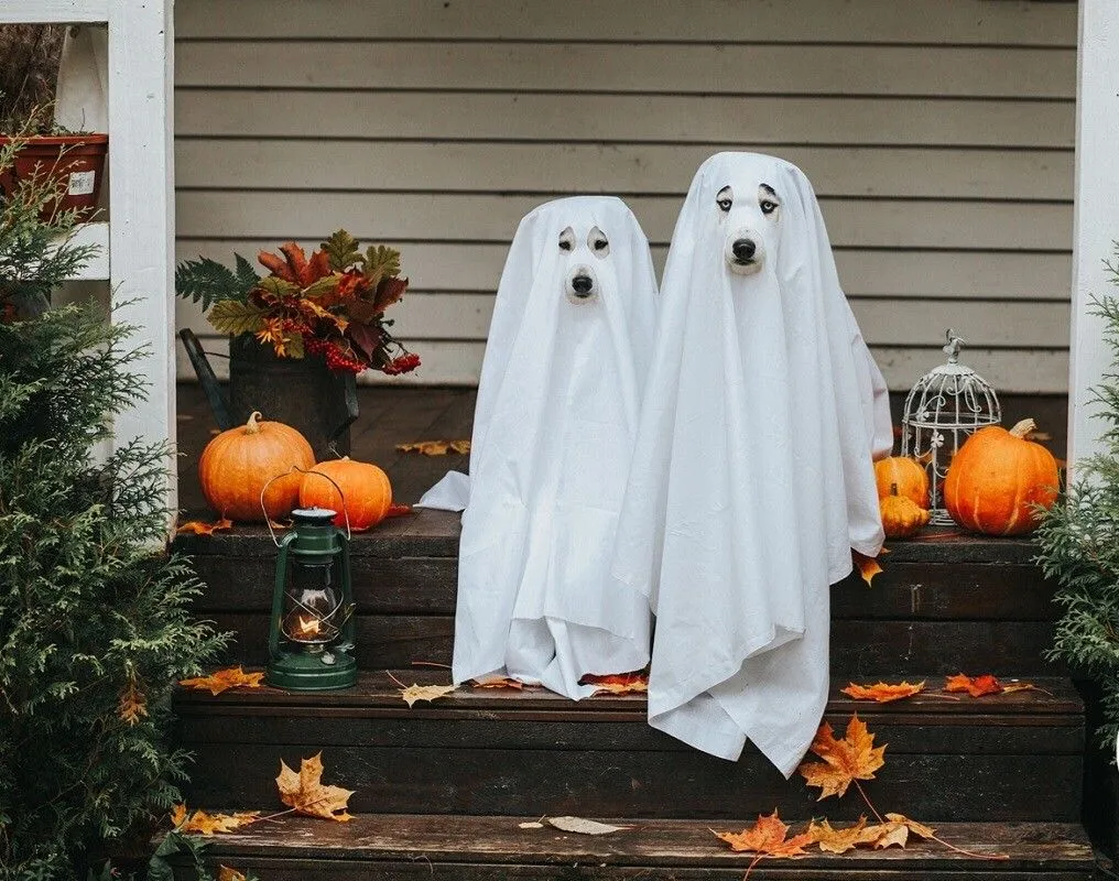 Las ideas de Halloween más buscadas en Pinterest