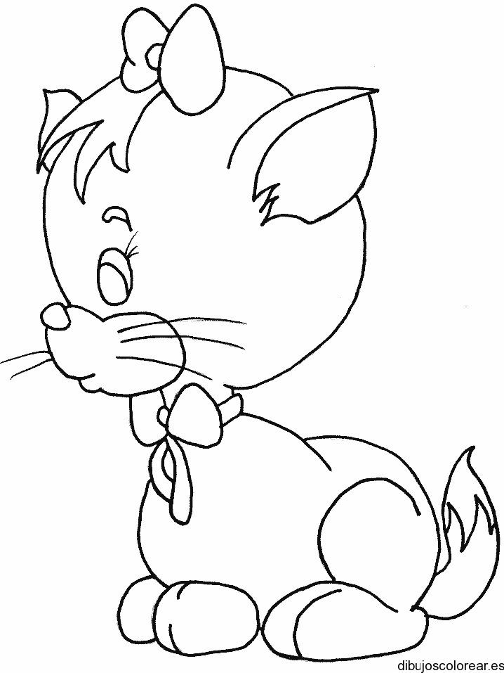 Dibujo en: Dibujos para colorear Gatito