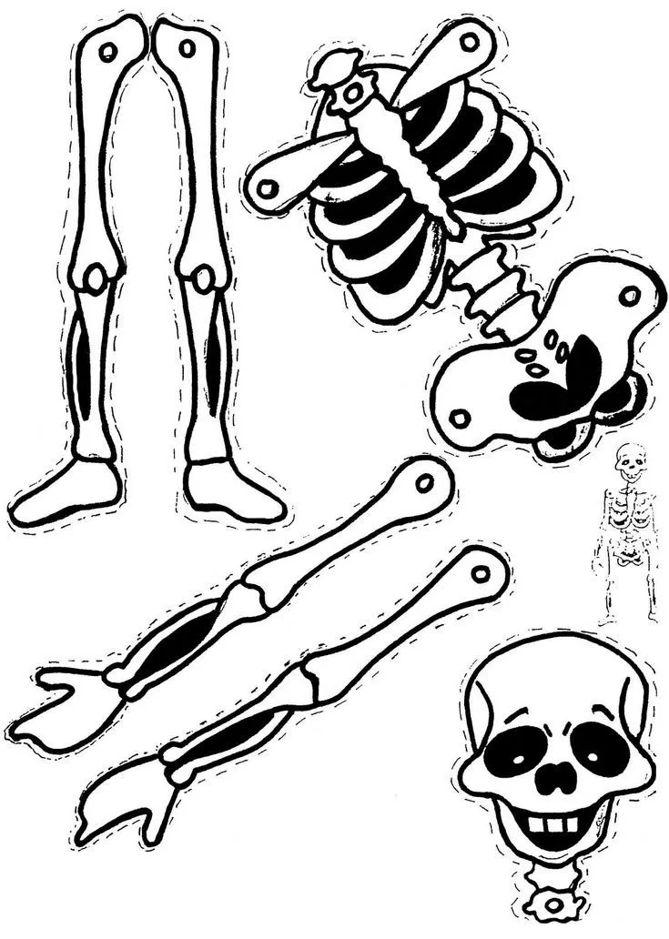 Ideas para vestir a tu calavera | Esqueleto para armar, Calaveras para  vestir, Plantillas de halloween