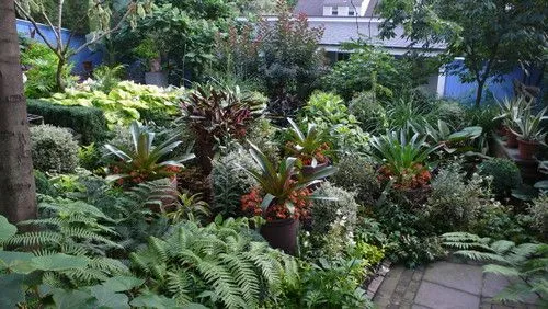 Ideias para Jardins Tropicais ~ landscaping