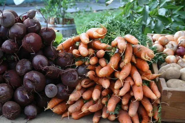 Mismo idioma, diferentes nombres II. Verduras y hortalizas ...