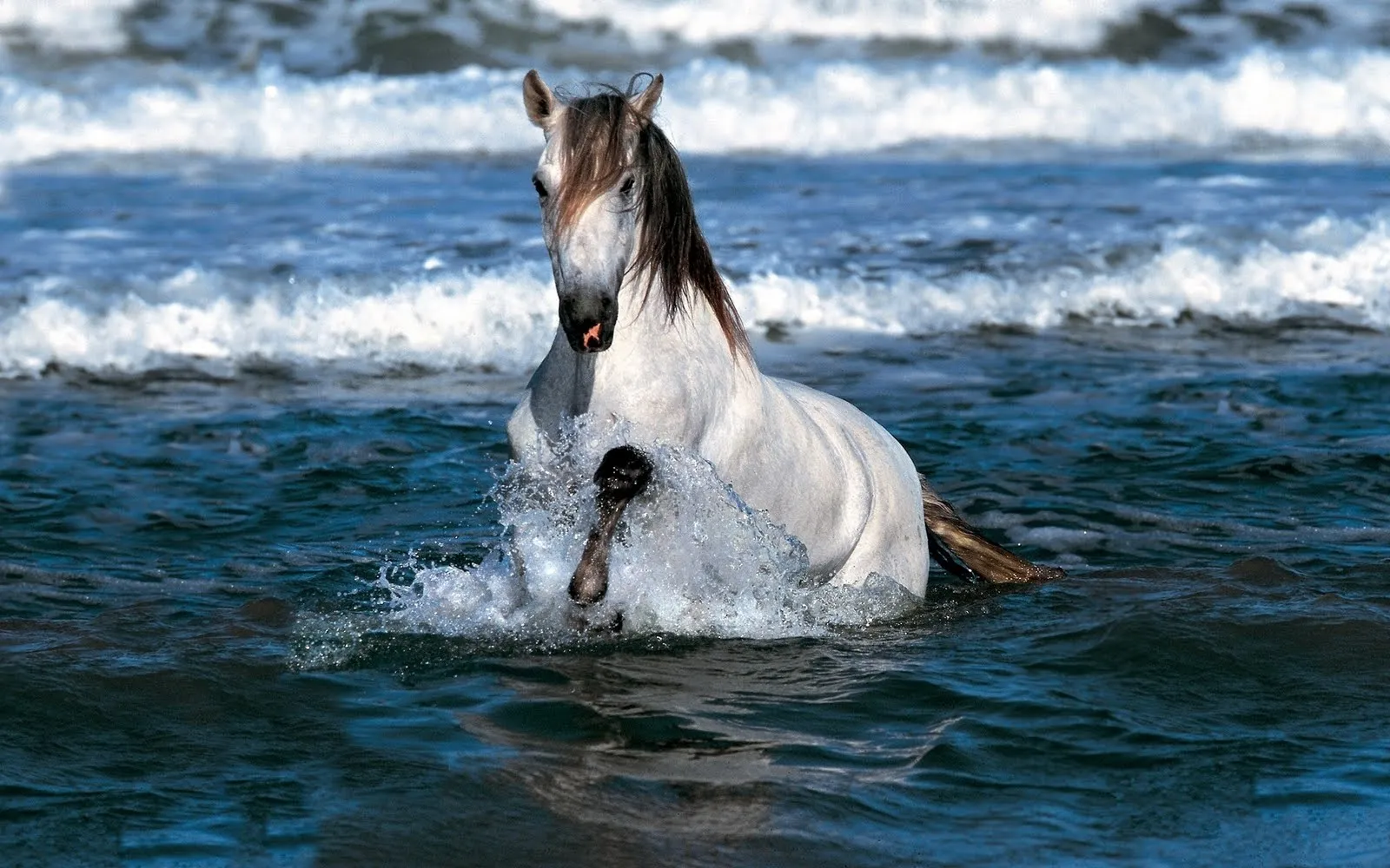 idool Fondos y backgrounds bonitos para tu computadora | New ... idool Fondos y backgrounds bonitos para tu computadora | New ...