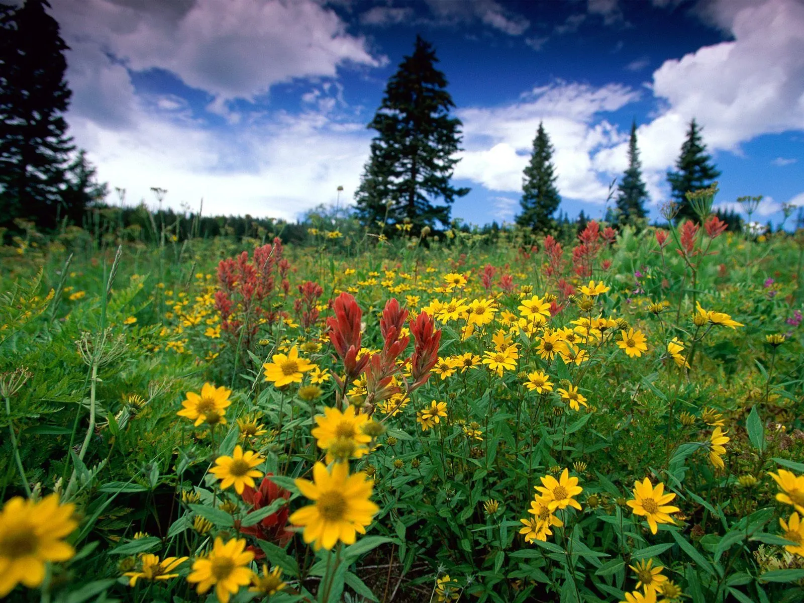 Idool Las mejores imágenes de paisajes naturales X (7 fotos) Idool Las mejores imágenes de paisajes naturales X (7 fotos)
