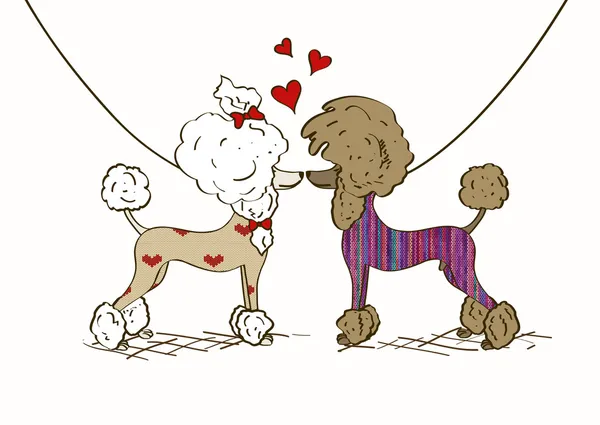 Ilustración de perros poodle de dos amantes — Vector stock ...