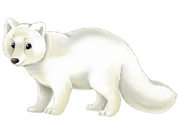 Ilustración de zorro ártico — Foto stock © agaes8080 #49115525