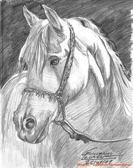 Cabezas de caballos para dibujar a lapiz faciles - Imagui