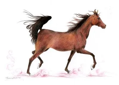 Ilustraciones y Diseño de Personajes: caballo