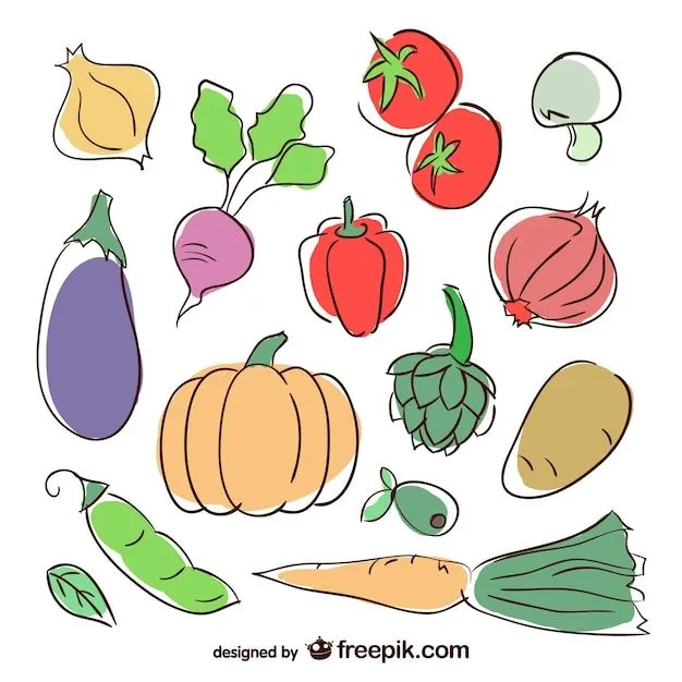 Ilustraciones de verduras de colores | Descargar Vectores gratis