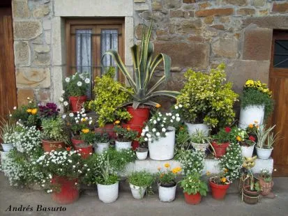 imagen cmo hacer bonitas del campos flores animadas imgenes hacer imagen cmo hacer bonitas del campos flores animadas imgenes hacer