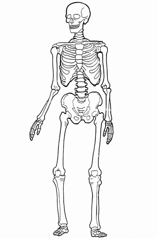 meu terceiro gif animado: Un esqueleto bailarín