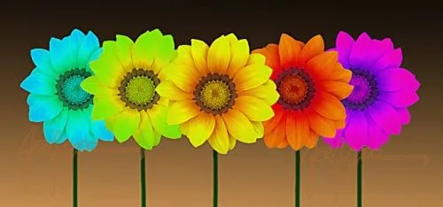 Imagen Flores de colores - grupos.emagister.com